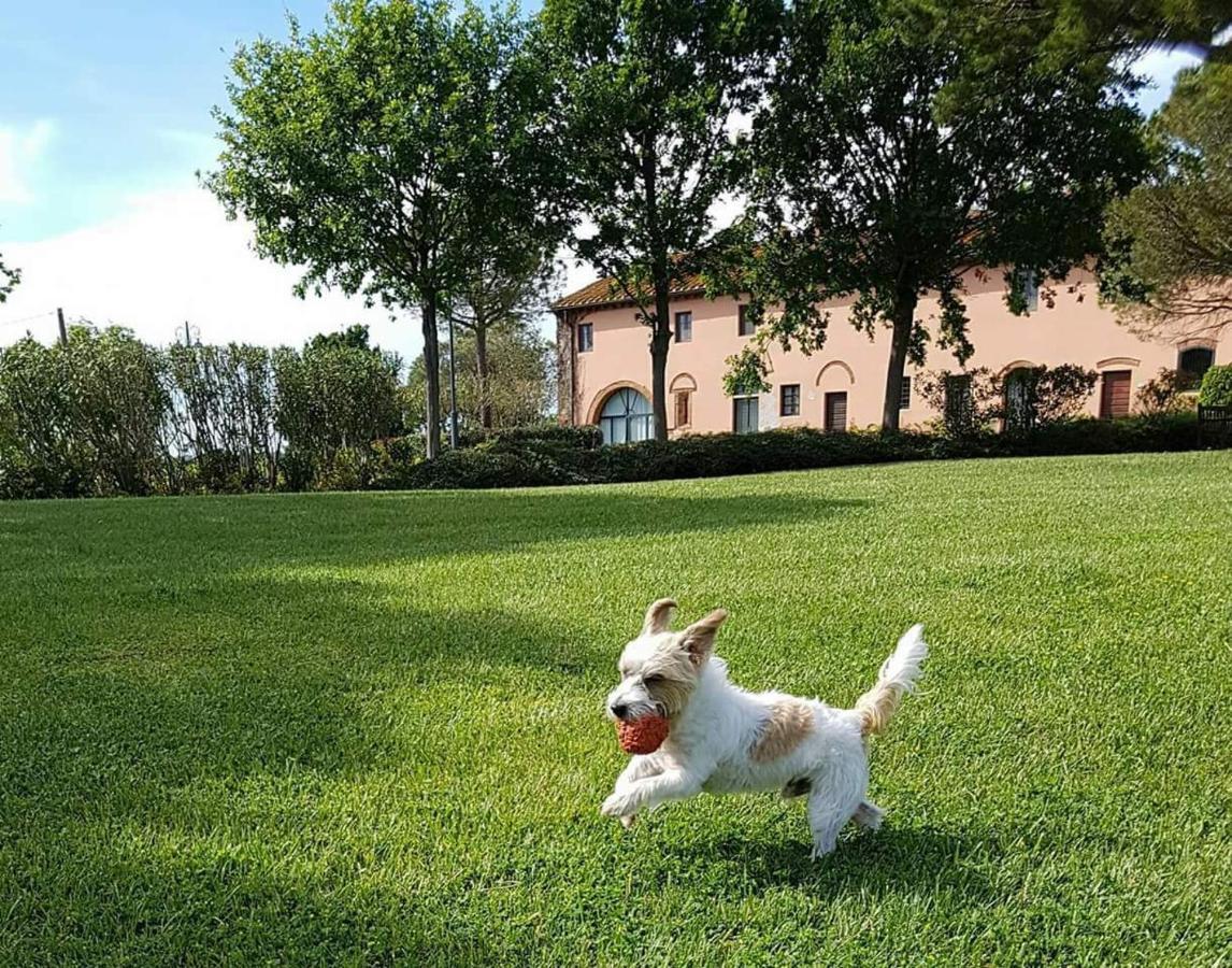La Magnifica B&B Fauglia Eksteriør billede